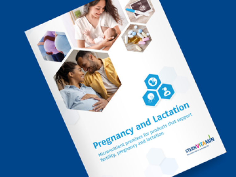 Broschüre "Pregnancy and Lactation" auf blauem Hintergrund mit Schwangeren und Müttern in Sechsecken.